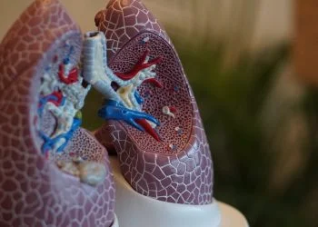 COVID-19 and the Human Body: nicotine as a “controller” of the molecular expression of ACE-2