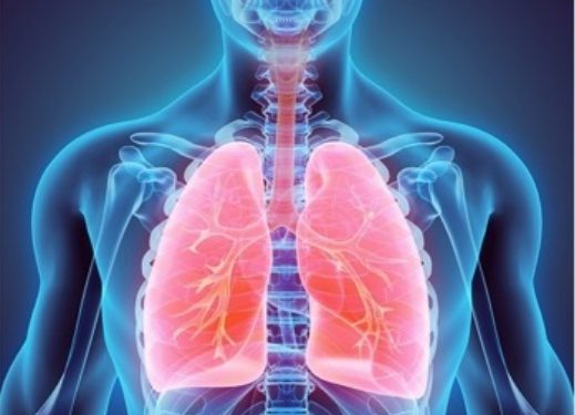The study demonstrates that long-term HTP use in COPD patients IMPROVES clinical outcomes such as exacerbation rate, exercise tolerance and quality-of-life measures.