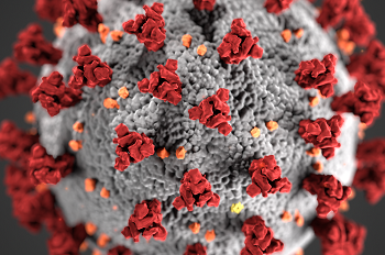 Pandemic, Cancer, Prevention: the impact of Covid-19