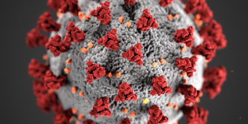 Pandemic, Cancer, Prevention: the impact of Covid-19